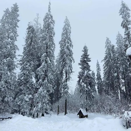 Casa de Férias Plazowka Pod Lasem